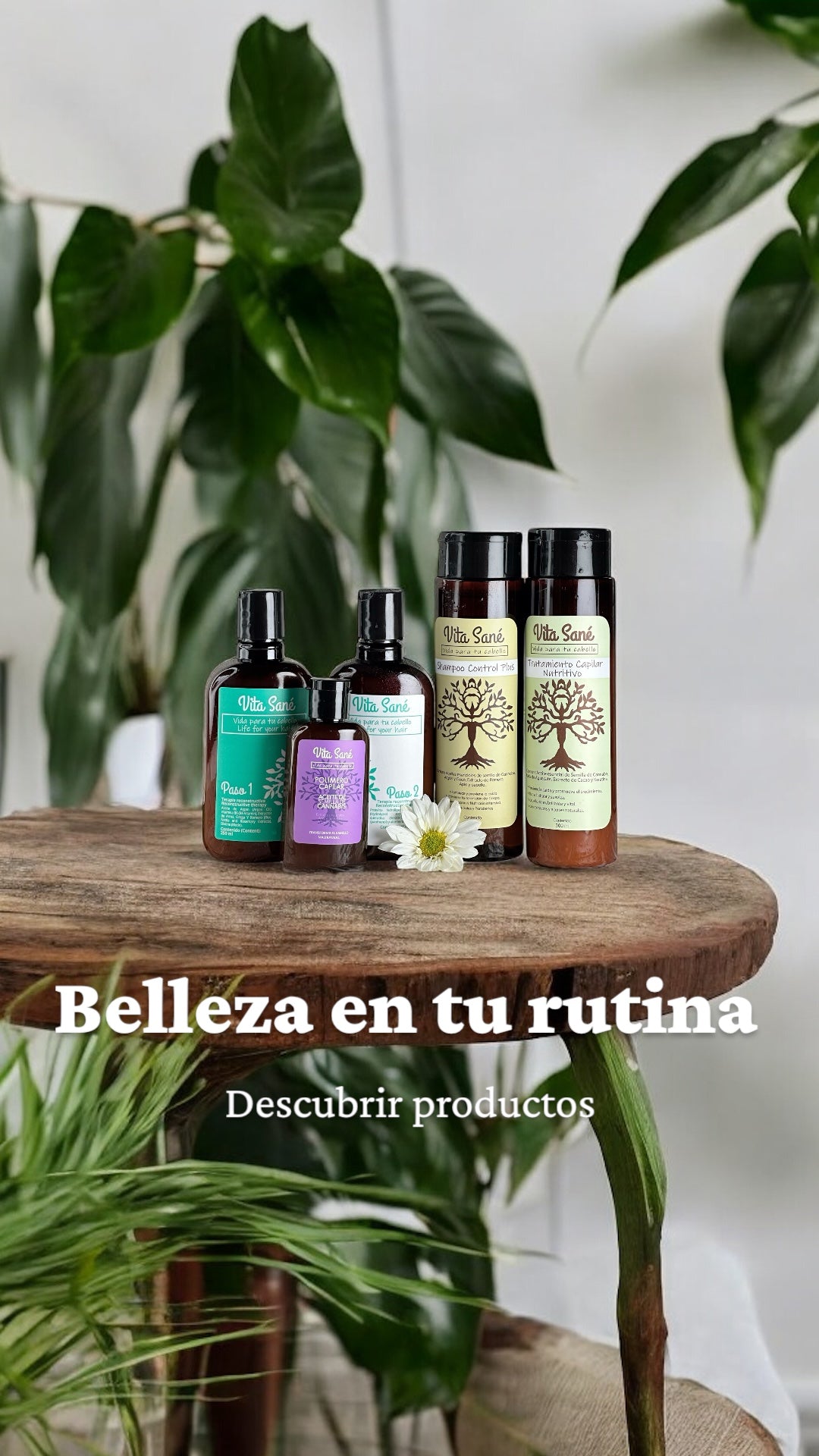 Kit Completo Vita Sané