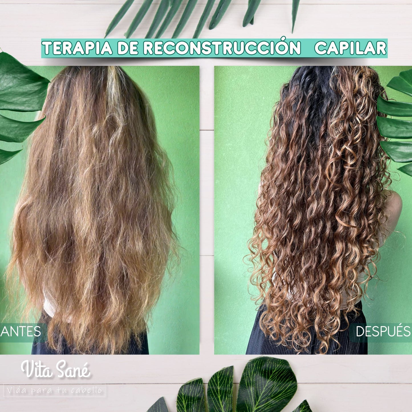 Paso 1 y Paso 2 Vita Sané Reconstruye, Elimina El Frizz