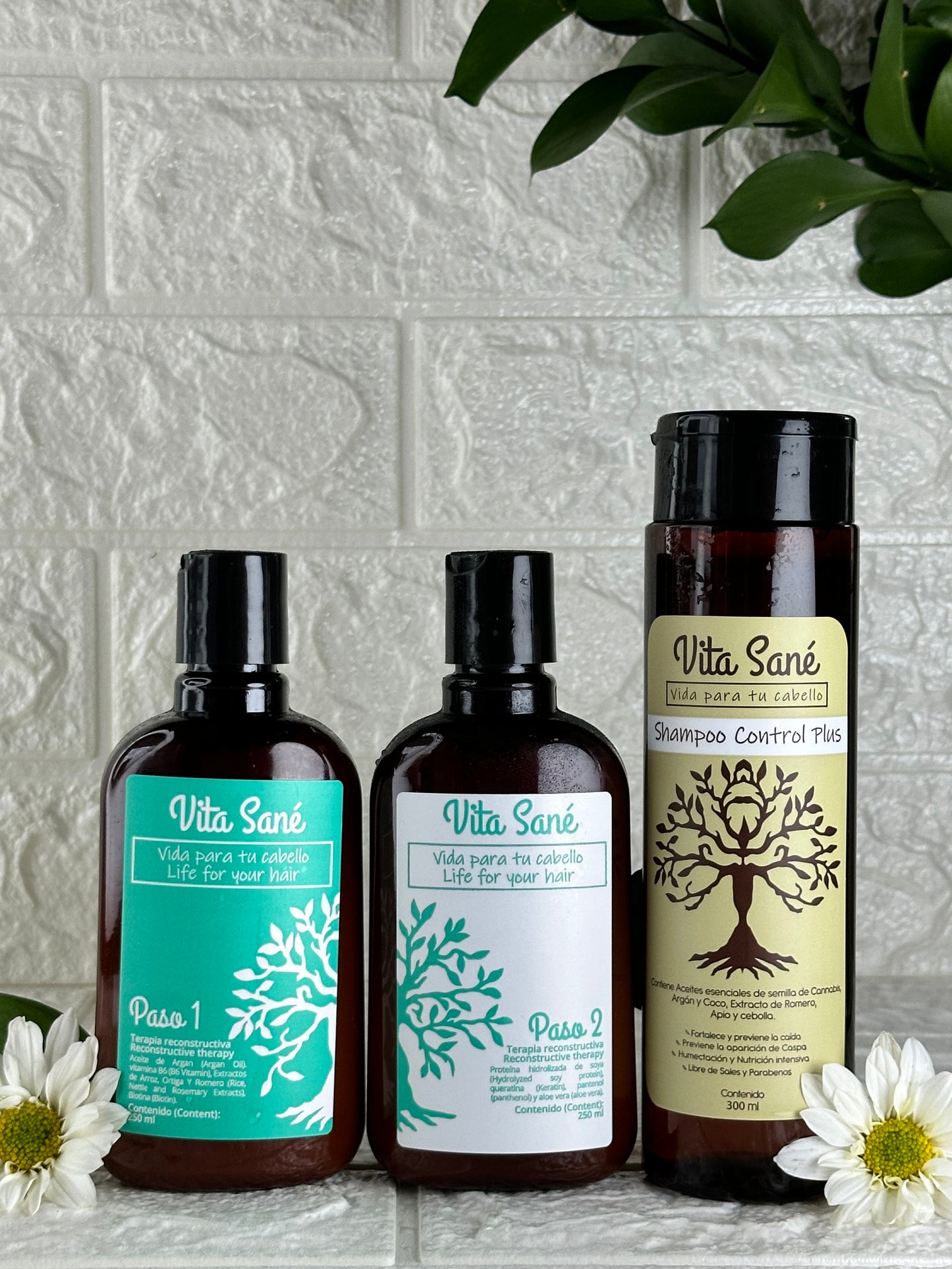 Kit de Reconstrucción Capilar + Shampoo Control Plus